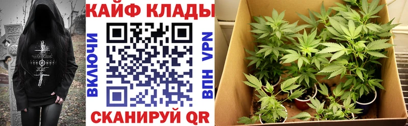 Наркошоп купить Кокаин  Галлюциногенные грибы  ТГК  МЕФ  ГАШ  Холм