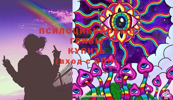 стафф Горно-Алтайск