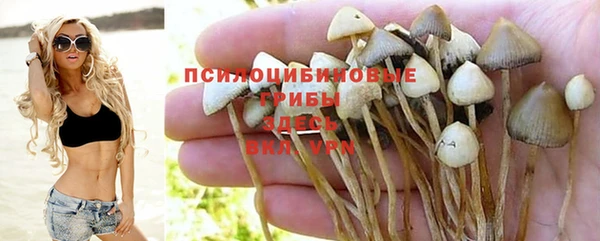стафф Горно-Алтайск