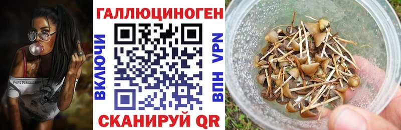 Псилоцибиновые грибы Psilocybe  Купить закладки  Холм 