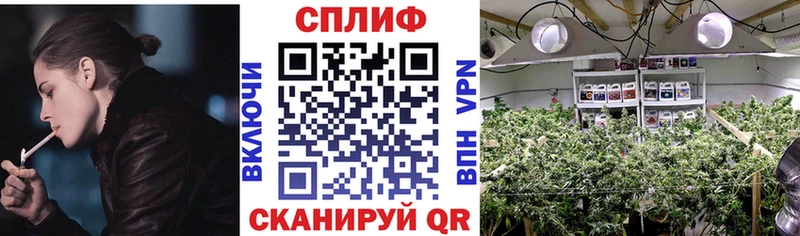 Каннабис ГИДРОПОН  Купить где  Холм 